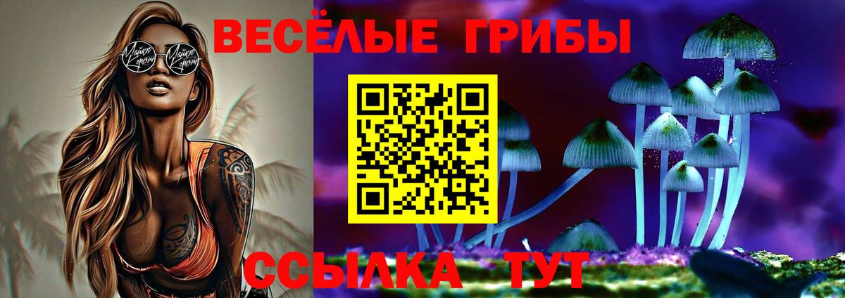 наркота  Псилоцибиновые грибы Psilocybe  Вход с VPN  Нижневартовск 
